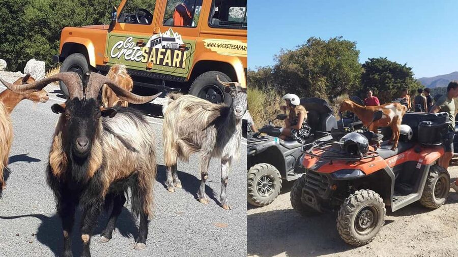 Malia: Off-Road Quad Safari Tour with Lunch and Transfers - Vrachasi, 45 minutes for coffee and photos