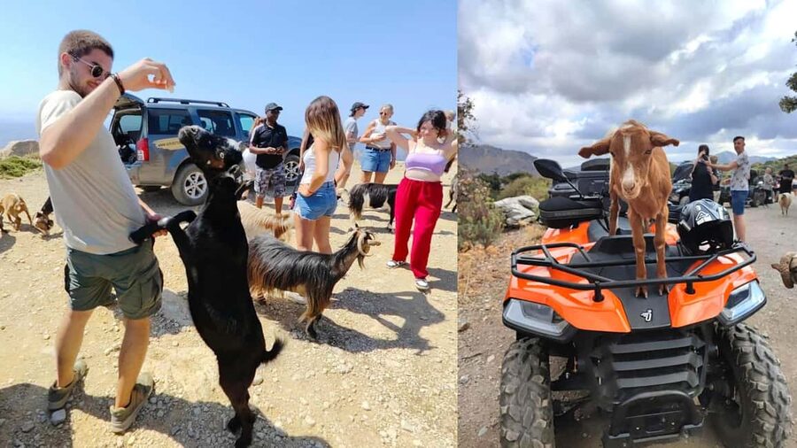 Malia: Off-Road Quad Safari Tour with Lunch and Transfers - Olive groves, vineyards, and the first off-road miles