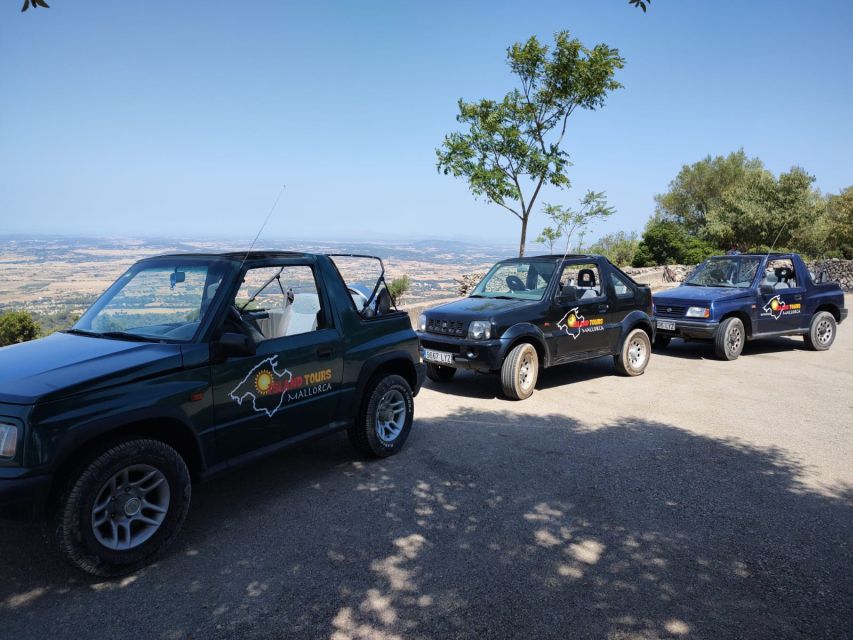 Mallorca: Self Drive 4x4 Jeepsafari Tour - Swimming in clear Mediterranean water