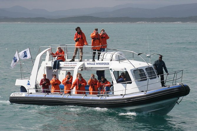 Marine Big 5 Safari full day trip from Cape Town - The long road from Cape Town to Gansbaai