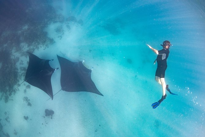 Marine Eco Safari - Swim with Manta Rays - Bills Bay offers an easy first look at the reef