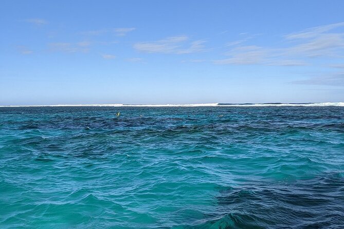 Marine Eco Safari - Swim with Manta Rays - Is $466 fair for this experience?