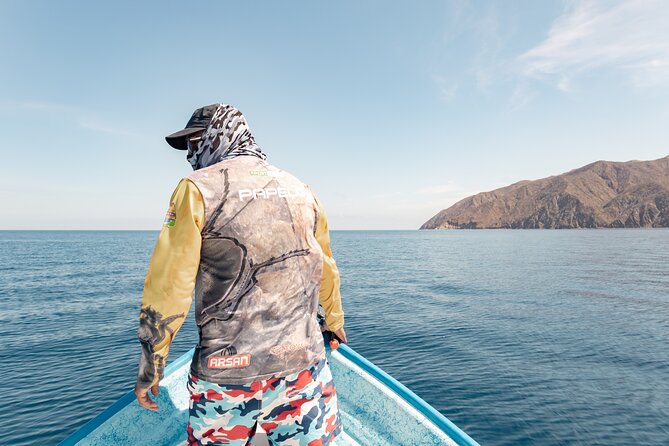 Marine Safari in La Ventana - Key points to know before you book
