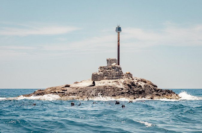 Marine Safari in La Ventana - Snorkeling beside sea lions and manta rays