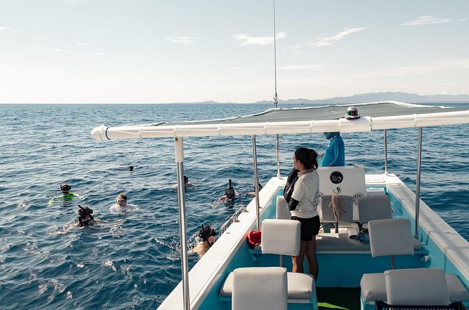 Marine Safari in La Ventana - Who will enjoy this marine safari most