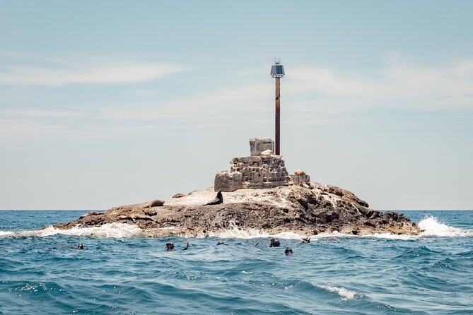 Marine Safari in La Ventana - Responsible viewing makes the encounters better