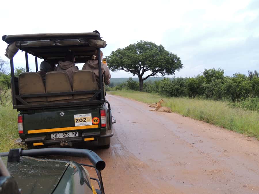 Marloth Park: Kruger National Park Safari Game Drives - Half-day timing and the full-day option