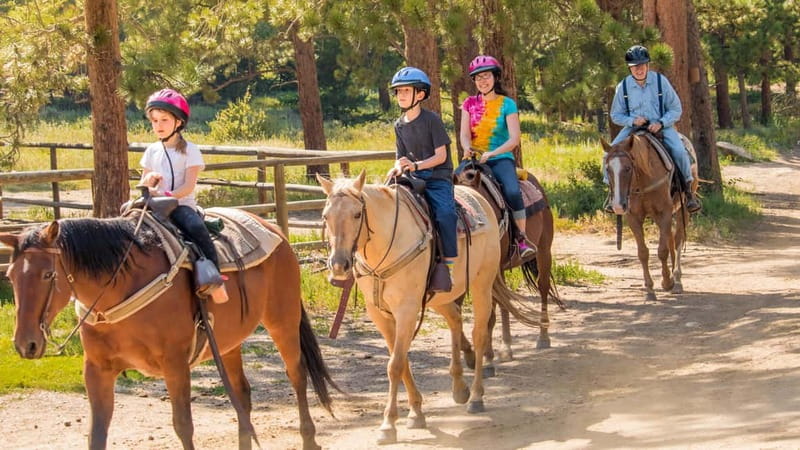 Marmaris: Horse Riding & Safari with Hotel Transfer - A gentle ride into Marmaris National Park