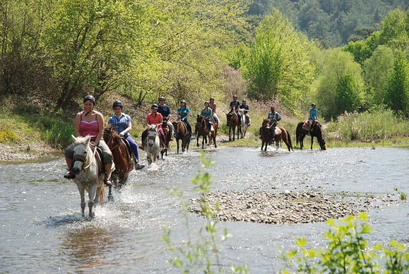 Marmaris: Horse Riding & Safari with Hotel Transfer - The one-hour horse safari