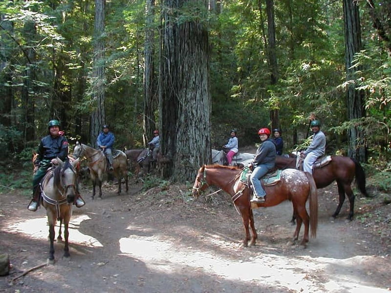 Marmaris: Horse Riding & Safari with Hotel Transfer - After the ride: animals, drinks, and photographs