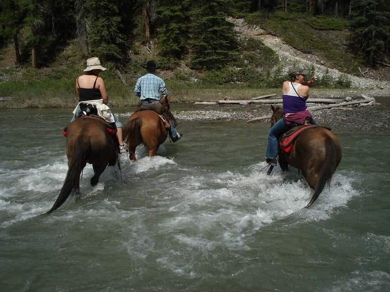 Marmaris: Horse Riding & Safari with Hotel Transfer - What happens at the ranch before riding