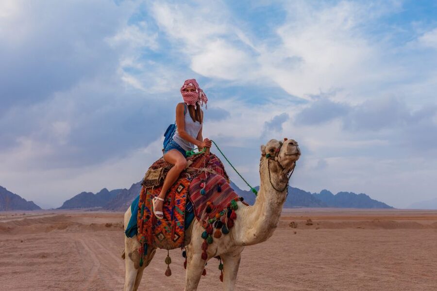 Marsa Alam Bedouin Nights: Jeep Safari, Dinner & Stargazing - Bedouin dinner, tea, and local hospitality