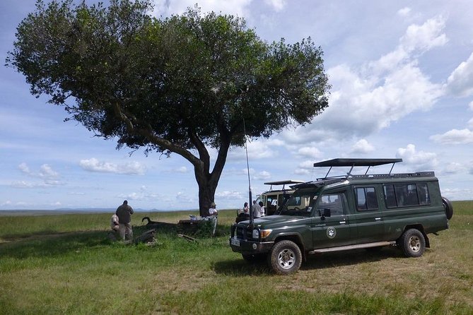 Masai Mara 3 Day Safari | Private 4WD Jeep Tour - Day 2: A full day among the Mara’s wildlife