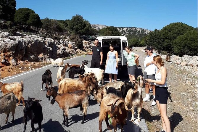 Matala Agiofarago Gorge Guided Jeep Safari Tour - Why this jeep safari feels different from a beach day