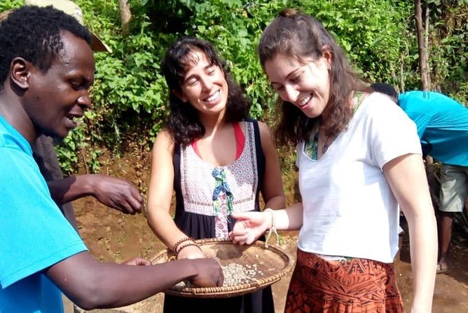 Materuni Waterfalls & Coffee making Cultural Tour | BURIGI CHATO SAFARIS LTD - Views of Moshi and Kibo from the falls