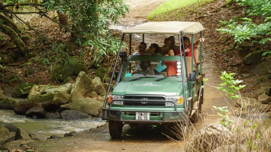 Mauritius: Bel Ombre Nature Reserve 4x4 Safari Adventure - Wildlife watching without a zoo-style guarantee