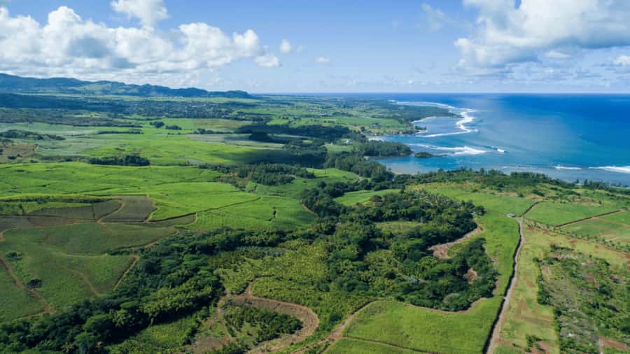 Mauritius: Bel Ombre Nature Reserve 4x4 Safari Adventure - What the $40 price really buys you