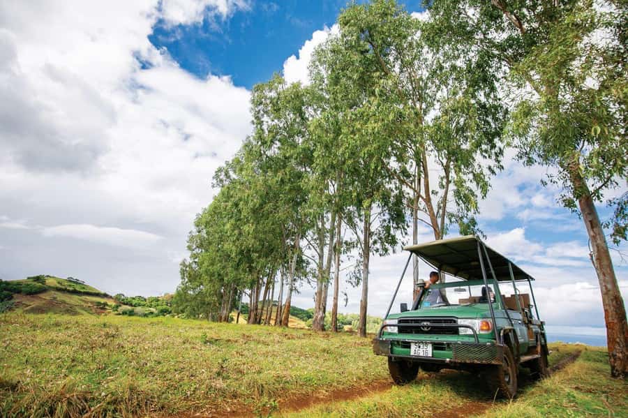 Mauritius: Bel Ombre Nature Reserve 4x4 Safari Adventure - Forest, grassland, mountains, and sea in one view