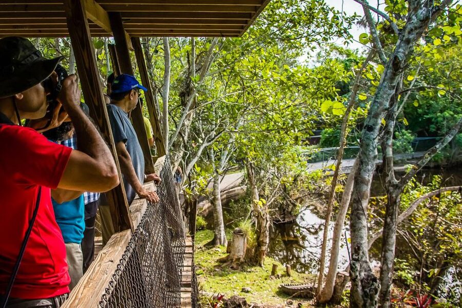 Miami: Everglades Safari Park Airboat Tour - FAQ