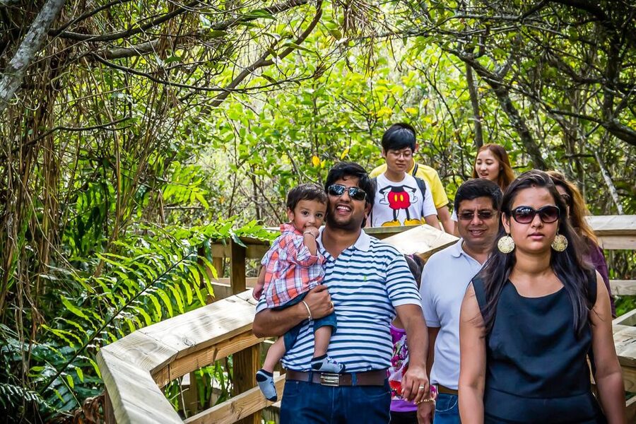 Miami: Everglades Safari Park Airboat Tour - The airboat ride through the River of Grass