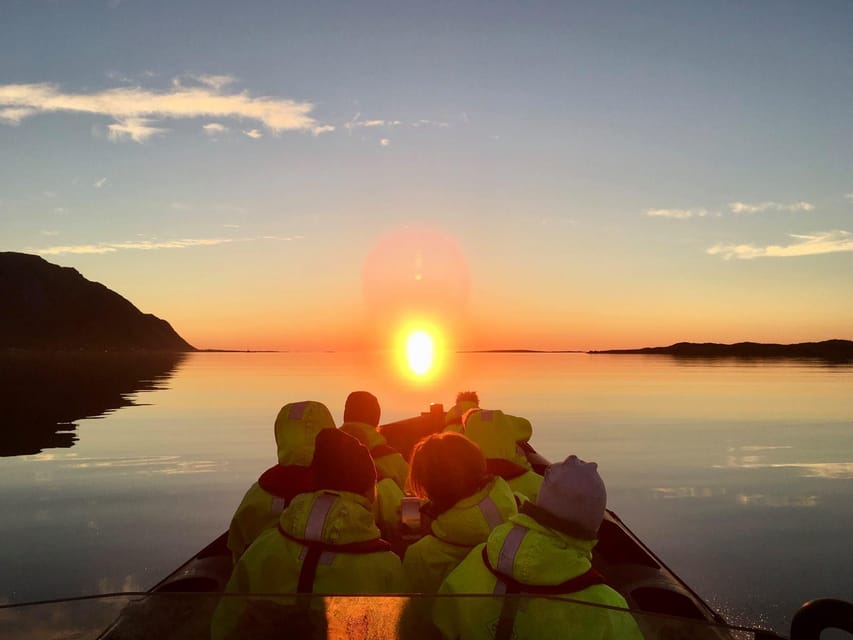 Midnight sun safari - Searching for sea eagles, seals, and puffins