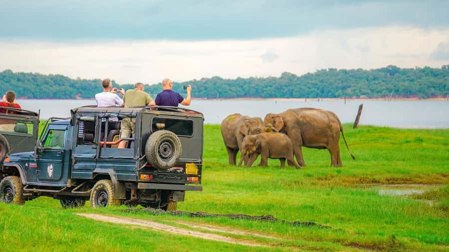 Minneriya: Minneriya National Park Private Evening Safari - What to bring and what to leave behind