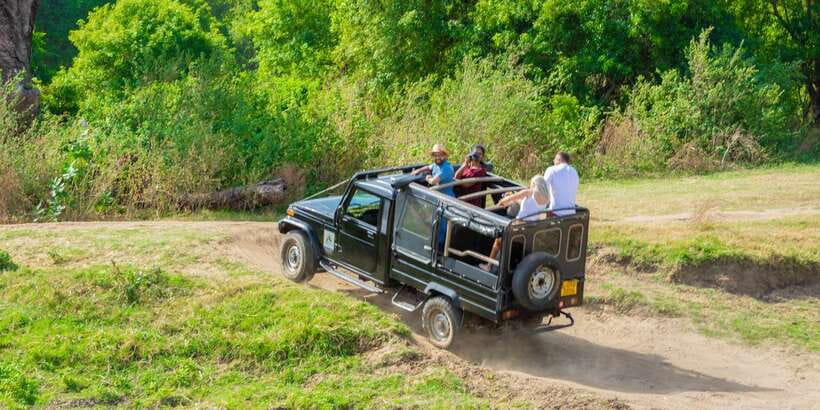 Minneriya: Minneriya National Park Private Safari - What the elephant encounter feels like