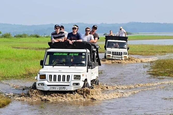 Minneriya National Park halfday Safari - What the three-to-four-hour outing is like