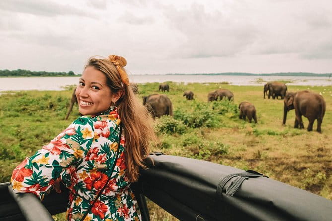 Minneriya National Park : Private Safari - What else you may see beyond elephants