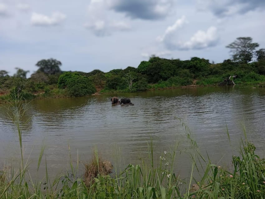 Minneriya National Park Safari - Entrance Fee Included - Booking flexibility and practical details