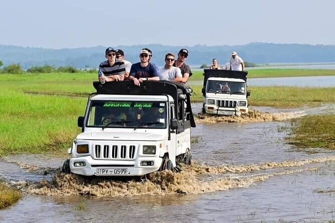 Minneriya National Park Safari from Habarana - Who should book this Minneriya safari