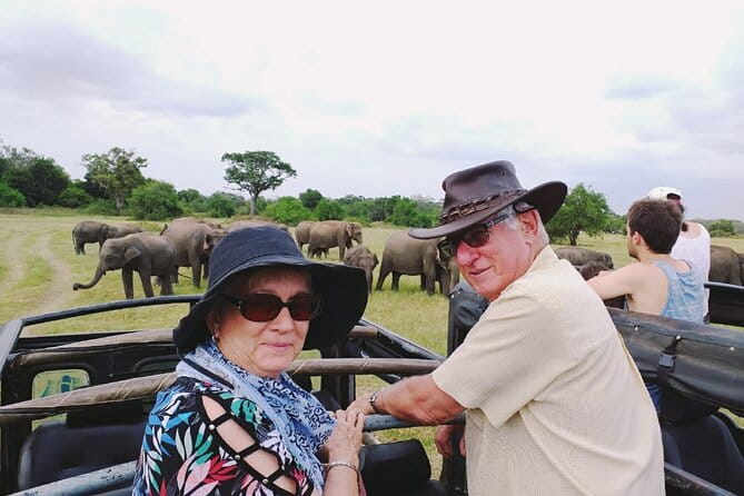 Minneriya National Park Safari [private , full package] - What the strong feedback tells you