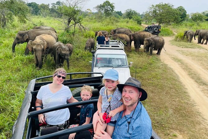 Minneriya National Park Safari - Private Jeep with Hotel Pickup - Why Minneriya is one of Sri Lanka’s best elephant stops