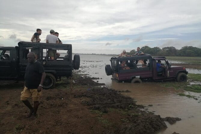 Minneriya National Park Safari - Private Jeep with Hotel Pickup - What the four-hour itinerary feels like