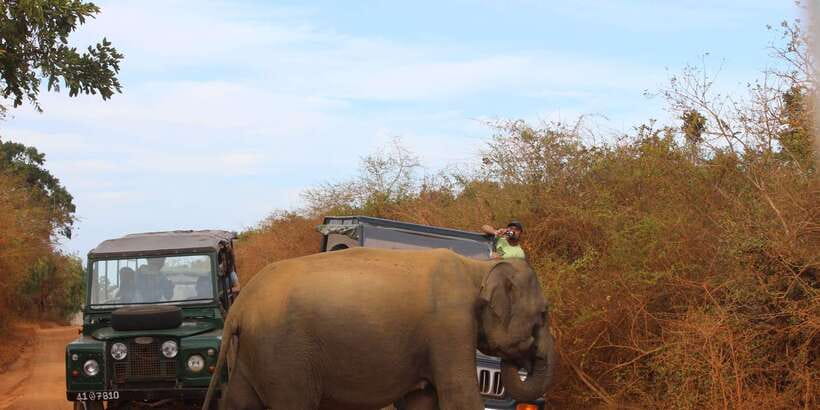 Minneriya: Private Jeep Safari From Trincomalee - Key points at a glance