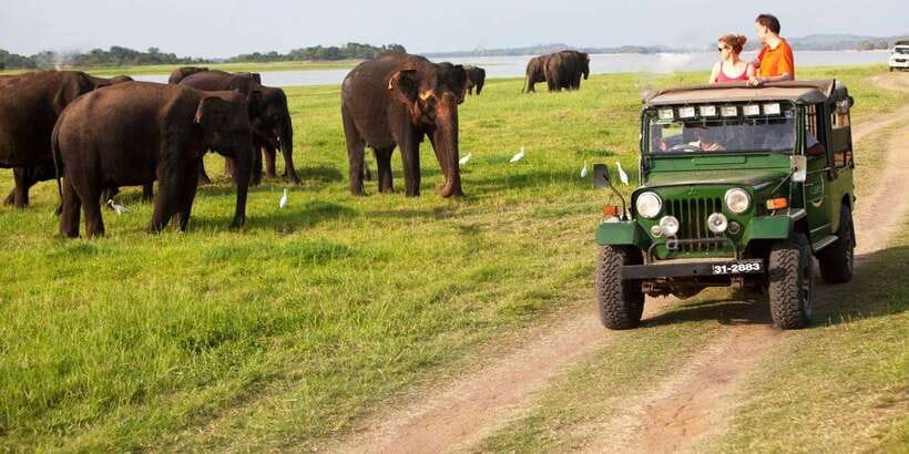 Minneriya: Private Jeep Safari From Trincomalee - Four hours on Minneriya’s rough tracks