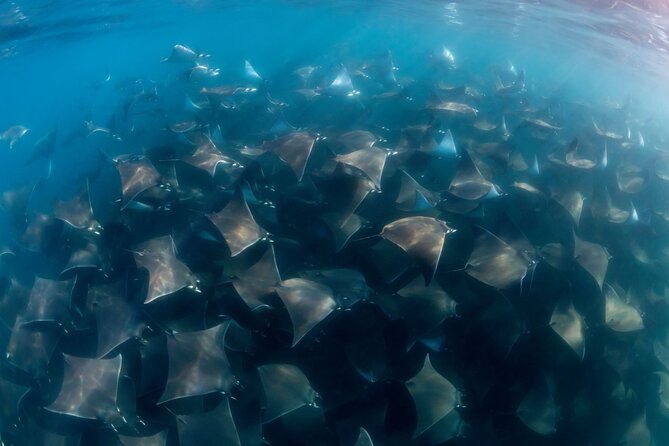 Mobula Ray and Ocean Safari Day Trip - Breakfast, road miles, and the arrival at La Ventana
