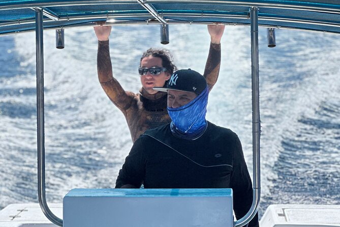 Mobulas Safari and Wildlife in La Ventana with a Marine Biologist - Searching for mobula rays near Punta Arena
