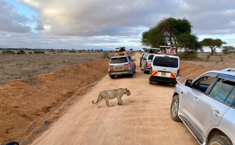 Mombasa: Tsavo East Ngutuni Sanctuary Overnight Safari - The early road from the coast