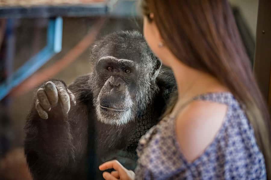 Monarto Safari Park: General Admission Tickets - Getting started at the entrance