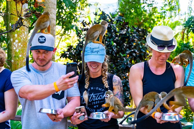 Monkeyland and Plantation Safari Tour from Punta Cana - What the monkey encounter is really like