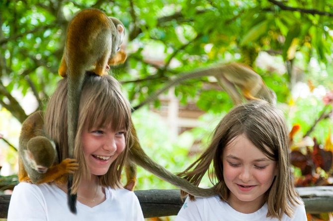Monkeyland and Plantation Safari Tour from Punta Cana - A botanical garden with mountain views