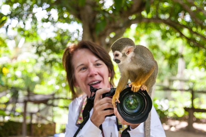 Monkeyland and Plantation Safari Tour from Punta Cana - Is $80 a fair price?