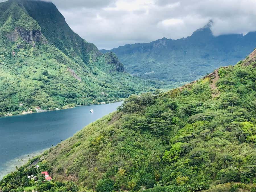 Moorea:4X4 safari excursion between land and sea with lunch - Rotui fruit juice and liquor tasting