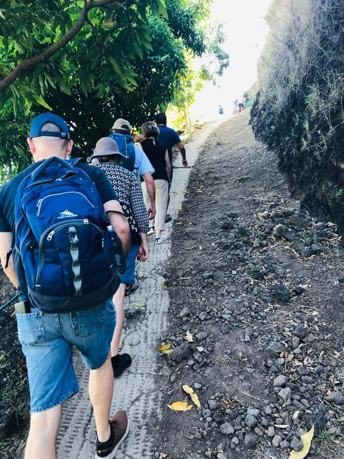 Moorea:4X4 safari excursion between land and sea with lunch - Cultural activities, music, and a local pace