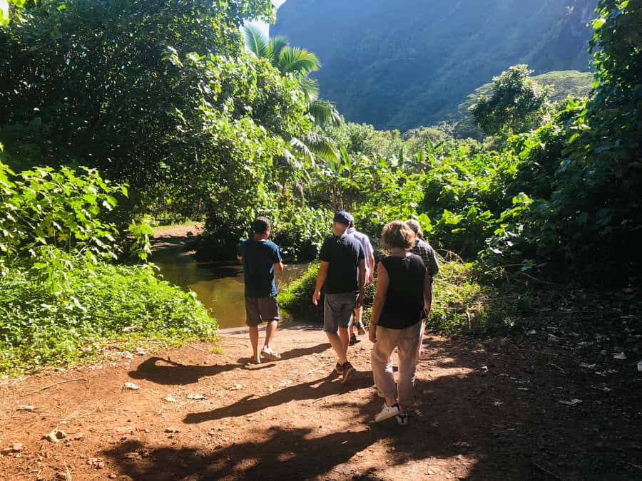 Moorea:4X4 safari excursion between land and sea with lunch - Pearl shopping before the return