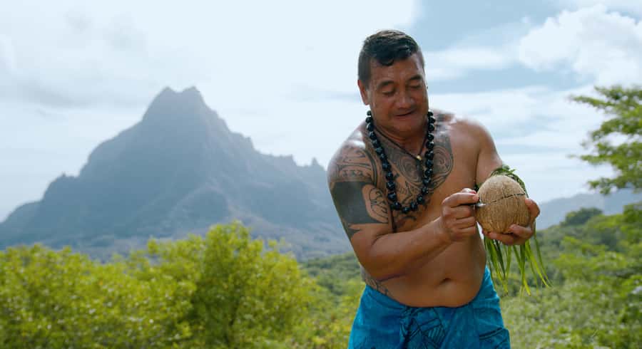 Moorea: Half-Day Open-Air 4WD Safari with Hotel Transfers - What the Moorea safari is really like