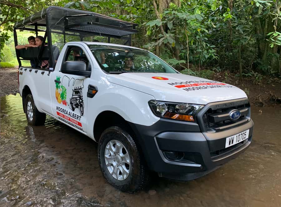 Moorea: Half-Day Open-Air 4WD Safari with Hotel Transfers - Pineapples, plantations, and Moorea’s inland side
