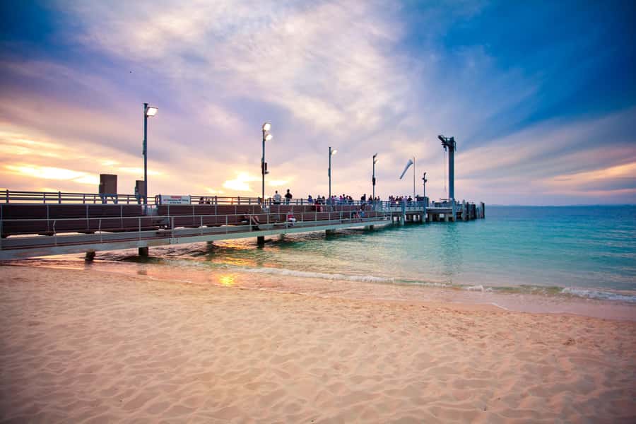 Moreton Island: Desert Safari Tour & Dolphin Viewing - Watching wild dolphins from the jetty
