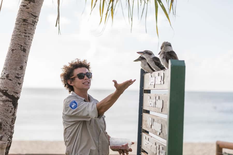 Moreton Island: Desert Safari Tour & Dolphin Viewing - What the $147 price really covers